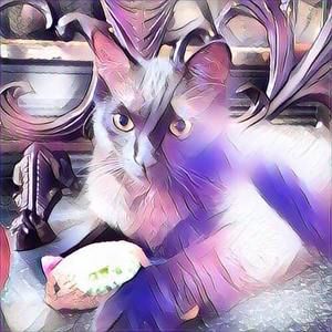 Meet your Posher, Susanne